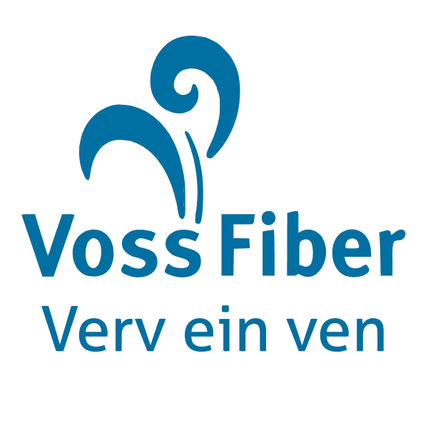 Verv ein ven Logo Blue