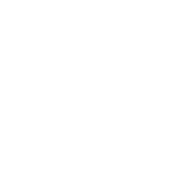 Verv ein ven Logo White